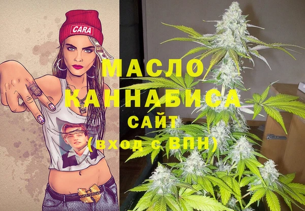 дмт Богородицк