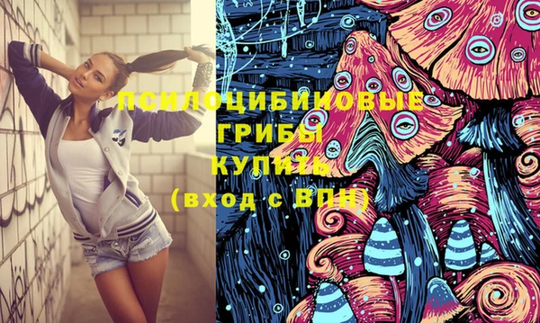 МДМА Бородино