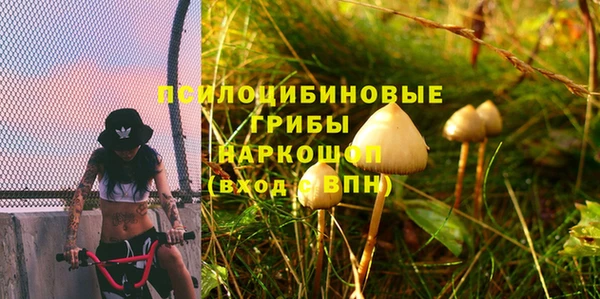 дмт Бугульма