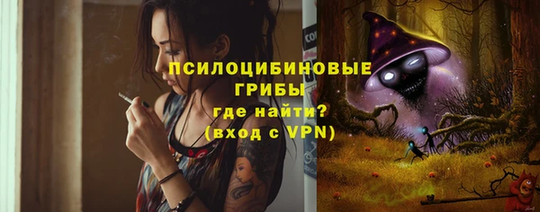 МДМА Бородино