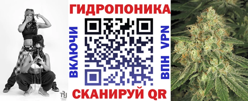 Каннабис семена  продажа наркотиков  Кологрив 